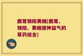 鹿茸锁阳黄精(鹿茸、锁阳、黄精提神益气的草药组合)