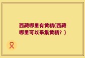 西藏哪里有黄精(西藏哪里可以采集黄精？)