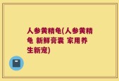 人参黄精龟(人参黄精龟 新鲜膏囊 家用养生新宠)