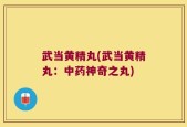 武当黄精丸(武当黄精丸：中药神奇之丸)