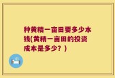 种黄精一亩田要多少本钱(黄精一亩田的投资成本是多少？)