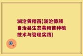 澜沧黄精苗(澜沧傣族自治县生态黄精苗种植技术与管理实践)