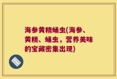 海参黄精蛹虫(海参、黄精、蛹虫，营养美味的宝藏密集出现)