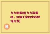 九九制黄精(九九取黄精，价值千金的中药材待开发)