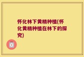 怀化林下黄精种植(怀化黄精种植在林下的探究)
