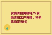 安徽青阳黄精特产(安徽青阳出产黄精，秋季采摘正当时)