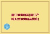 丽江滇黄精苗(丽江产纯天然滇黄精苗供应)