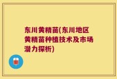 东川黄精苗(东川地区黄精苗种植技术及市场潜力探析)