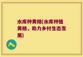 水库种黄精(水库种植黄精，助力乡村生态发展)