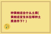 种黄精适合什么土质(黄精适宜生长在哪种土质条件下？)