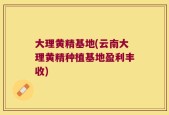 大理黄精基地(云南大理黄精种植基地盈利丰收)