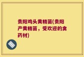 贵阳鸡头黄精苗(贵阳产黄精苗，受欢迎的禽药材)