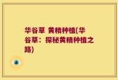 华谷草 黄精种植(华谷草：探秘黄精种植之路)