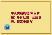 中支黄精的功效(支黄精：补肾壮阳，延缓衰老，提高免疫力)