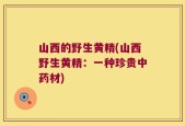 山西的野生黄精(山西野生黄精：一种珍贵中药材)