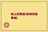 晚上挖黄精(夜间挖掘黄精)