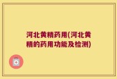 河北黄精药用(河北黄精的药用功能及检测)