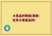 小麦品种黄精(黄精：优良小麦新品种)