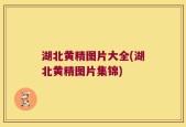 湖北黄精图片大全(湖北黄精图片集锦)
