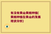 有没有黄山黄精种植(黄精种植在黄山的发展现状分析)