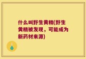 什么叫野生黄精(野生黄精被发现，可能成为新药材来源)
