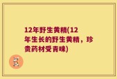 12年野生黄精(12年生长的野生黄精，珍贵药材受青睐)