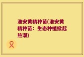 淮安黄精种苗(淮安黄精种苗：生态种植掀起热潮)