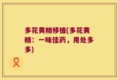 多花黄精移植(多花黄精：一味佳药，用处多多)