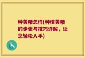 种黄精怎样(种植黄精的步骤与技巧详解，让您轻松入手)