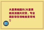 大量黄精图片(大量黄精高清图片欣赏，专业摄影带你领略美景奇观!)