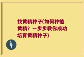 找黄精种子(如何种植黄精？一步步教你成功培育黄精种子)