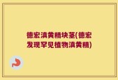 德宏滇黄精块茎(德宏发现罕见植物滇黄精)