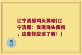 辽宁清原鸡头黄精(辽宁清原：发现鸡头黄精，这些你应该了解！)
