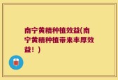 南宁黄精种植效益(南宁黄精种植带来丰厚效益！)
