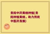 贵阳中药黄精种植(贵阳种植黄精，助力传统中医药发展)