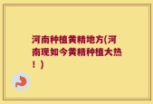 河南种植黄精地方(河南现如今黄精种植大热！)