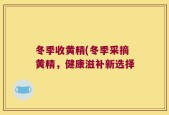 冬季收黄精(冬季采摘黄精，健康滋补新选择