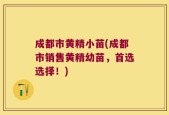 成都市黄精小苗(成都市销售黄精幼苗，首选选择！)