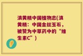 滇黄精中国植物志(滇黄精：中国金丝玉石，被赞为中草药中的“维生素C”)