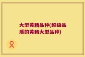 大型黄精品种(超级品质的黄精大型品种)