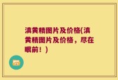 滇黄精图片及价格(滇黄精图片及价格，尽在眼前！)