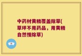 中药材黄精覆盖除草(草坪不用药品，用黄精自然慢除草)