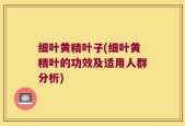 细叶黄精叶子(细叶黄精叶的功效及适用人群分析)