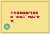 不到苗黄精亩产(苗黄精“施而忘”的高产技术)