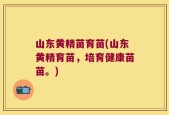 山东黄精苗育苗(山东黄精育苗，培育健康苗苗。)