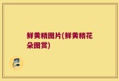 鲜黄精图片(鲜黄精花朵图赏)