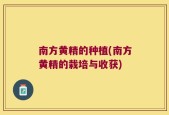 南方黄精的种植(南方黄精的栽培与收获)