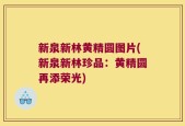 新泉新林黄精圆图片(新泉新林珍品：黄精圆再添荣光)