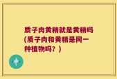 质子肉黄精就是黄精吗(质子肉和黄精是同一种植物吗？)