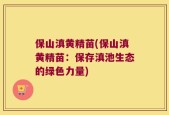保山滇黄精苗(保山滇黄精苗：保存滇池生态的绿色力量)